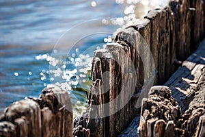 Wooden pilings in the water