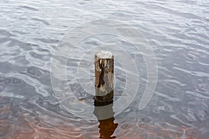 A wooden pillar in the water