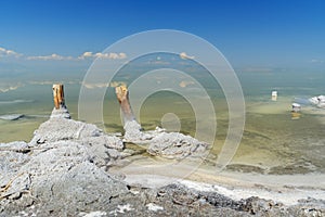 Wooden pillars with crystallized salt on Urmia Salt Lake. Iran photo