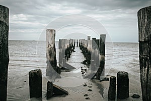 wooden pillars in the sea. Old wooden pier on a cloudy day.sea photo wallpaper. Low tide time. North Sea under cloudy