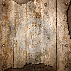 Wooden Plank