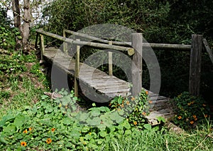 Wooden Plank Bridge in a Field of Nasturtiums on Winery Lands