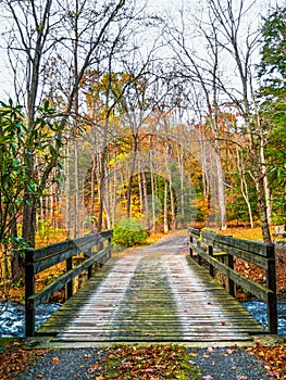 Wooden Plank Bridge