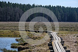 wooden plank foothpath boardwalk trampoline in the lake