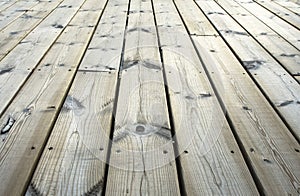 Wooden plank on jetty in closeup.