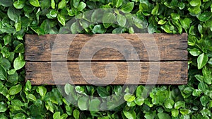 Wooden plank on lush green leaves, perfect for rustic design or nature-themed projects photo