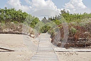 Wooden plank path at the beach