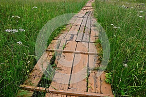 Wooden plank pathway acros peatland nature reserve in northern Slovakia, Orava region