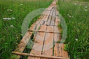 Wooden plank pathway acros peatland nature reserve in northern Slovakia, Orava region photo