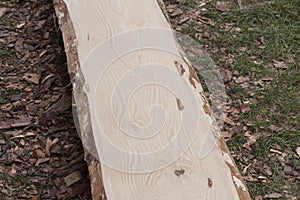 Wooden plank of pine without peel before abrading process