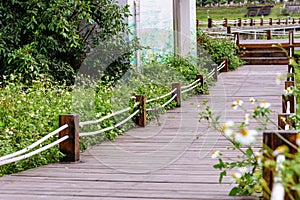 Wooden plank road in the park.