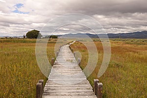 A wooden plank trail photo