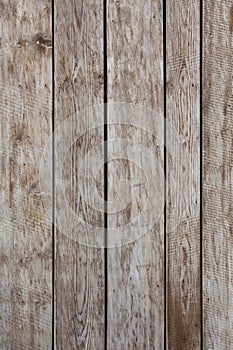 Wooden plank wall. Background texture