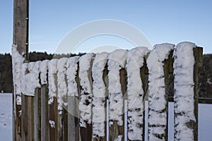 Wooden planks at a fence covered with snow