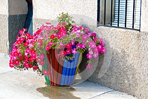 Wooden planter made with a wastebasket with petunias. Petunia Ã— atkinsiana Surfinia. Recycling of materials.