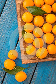 A wooden plate of fresh ripe cumquats or kumquats with green leaves