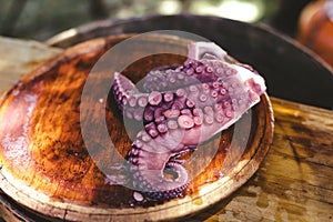 Wooden plate of galician cooked octopus photo