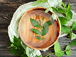 Wooden plate, green branch friendly organic  home wooden background brown vintage rustic ecologica photo