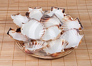 Wooden plate with shell scallops