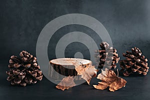 Wooden podium or stand for product showcase with cones and dry leaves on grey stone background, dark still life