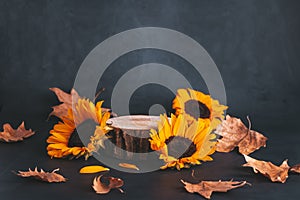 Wooden podium or stand for product with sunflowers and dry leaves on grey stone background, dark still life