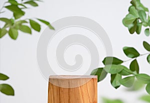 Wooden podium table top blurred green leaf plant on white empty space nature background.Beauty cosmetic natural product modern