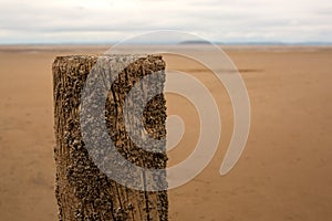 Wooden pole on the beach at low tide