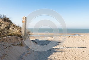 Wooden pole in a dune at the beach