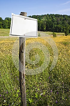 Wooden pole on a green field with blank sign indicating - image with copy space