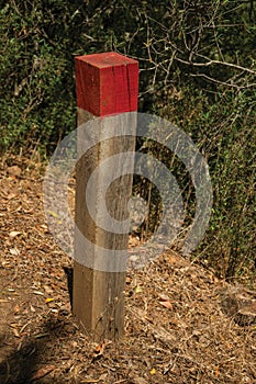 Wooden pole next to a dirt trail to mark the right path