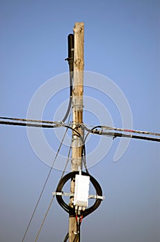Wooden pole used to fasten telecommunication cables