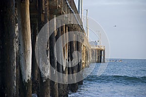 Wooden poles of Avila Beach pier, California