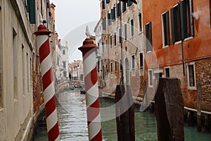 Wooden poles for boat parking. Venice.