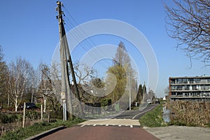 Wooden poles with electricity wires in the Zuidplaspolder at the Vierde Tochtweg photo