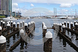 Wooden poles at the Melbourne Docklands in Victoria Harbour, Australia photo