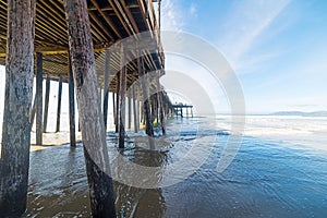 Wooden poles in Pismo Beach pier