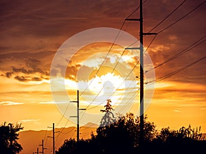 Wooden Poles of Power Lines at Sunset