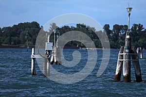 Wooden poles in Venetian laguna, Italy
