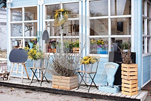 Wooden porch of house with plants and branches yellow mimosa. Facade home with garden tools, pots flowers. Cozy spring decor veran