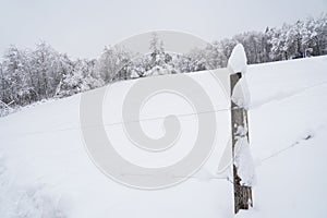 Wooden post of fence with iron wire in front of forest with snow-covered trees in the winter season.