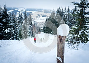 Wooden post with a male walking on a snowy trail and a forest in the background