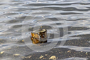 Wooden post in the sea