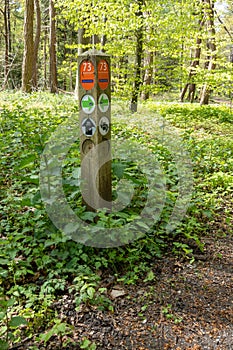 Wooden post with walking route markers in Corversbos, Hilversum, Netherlands