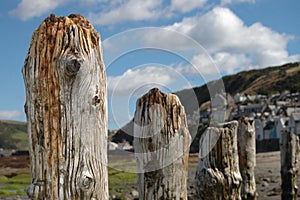 Wooden posts on beach in Gardenstown, Scotland