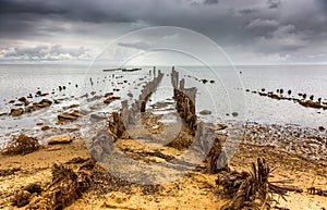 Wooden posts covered with salt, Lake Elton