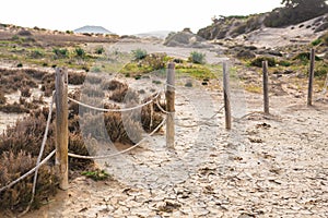 Wooden posts outdoor