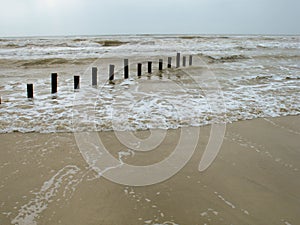 Wooden posts in sea