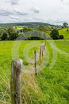 Wooden posts and wire fences dividing plots in Dutch agricultural landscape