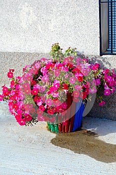 Wooden pot made with a wastebasket with pretty petunias. Petunia Ã— atkinsiana Surfinia. Recycling of materials.