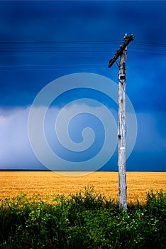 Wooden power line